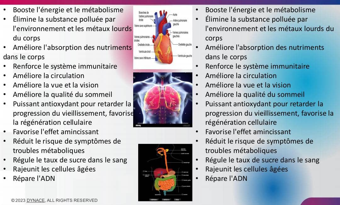 🌸 Dynace Rocenta – Beauté, Vitalité et Bien-être Naturel